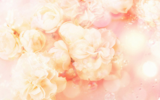 1564749 (a): :1920x1200